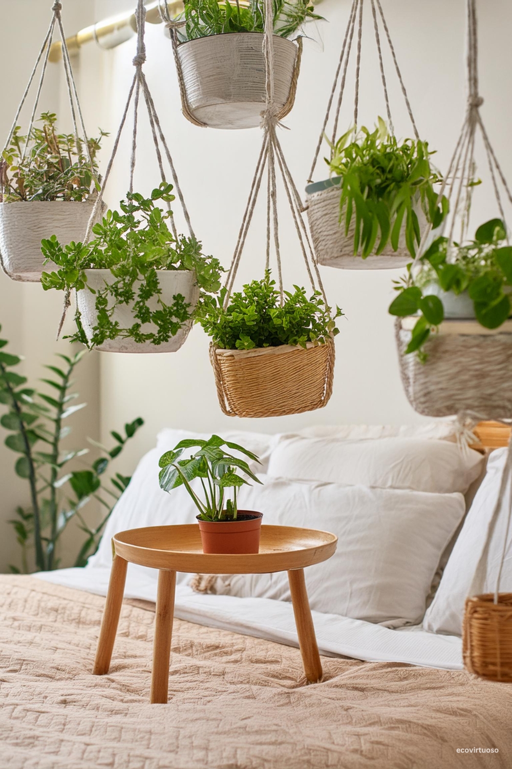 hanging plants inside a bedroom